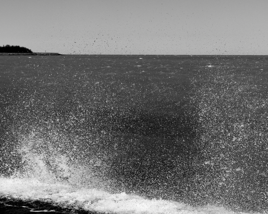 Diaspora fine art print